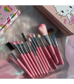 براش جعبه فلزی 12 تیکه هلوکیتی