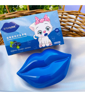 ماسک ترمیم کننده لب با عصاره بلوبری