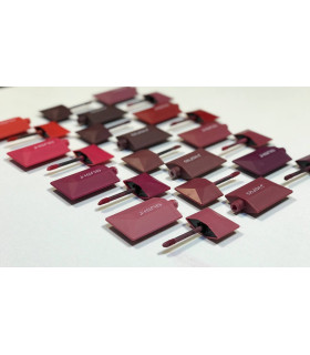 رژ لب مایع گاش