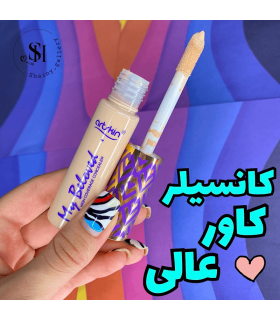 کانسیلر مایع آرت اسکین مدل بی لاود طرح تارت