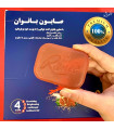 صابون اندام بانوان ایرانی 20 شهریور