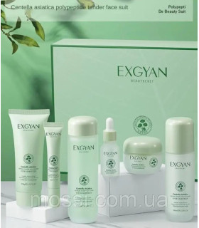 پک مراقبتی پوست سنتلا اکسگین